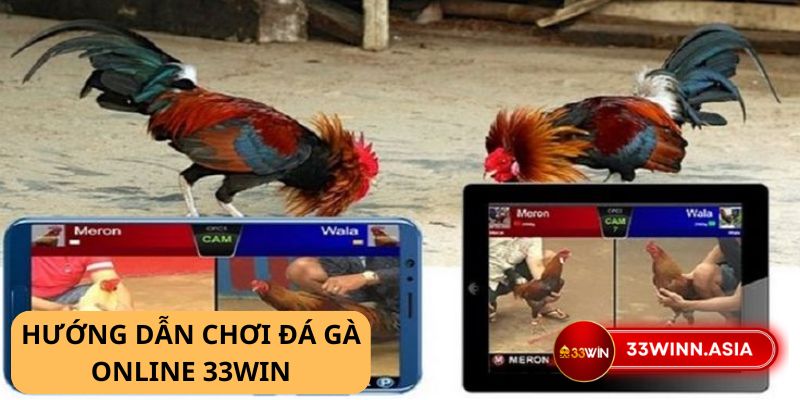 Bí quyết chiến thắng đá gà online 33win: Nơi những trận đá gà kịch tính bùng nổ 2 Bí quyết chiến thắng đá gà online 33win: Nơi những trận đá gà kịch tính bùng nổ